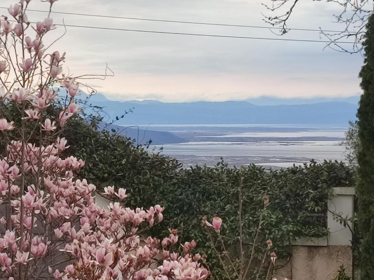 Guesthouse Michobeis Kamarína Kültér fotó