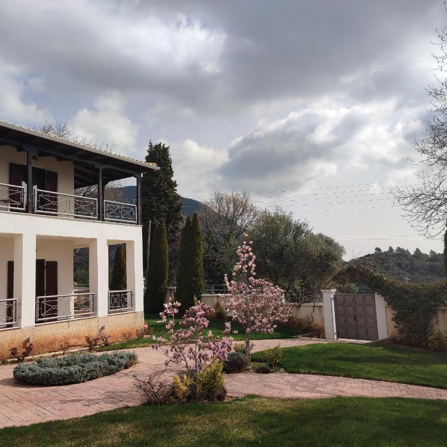 Guesthouse Michobeis Kamarína Kültér fotó