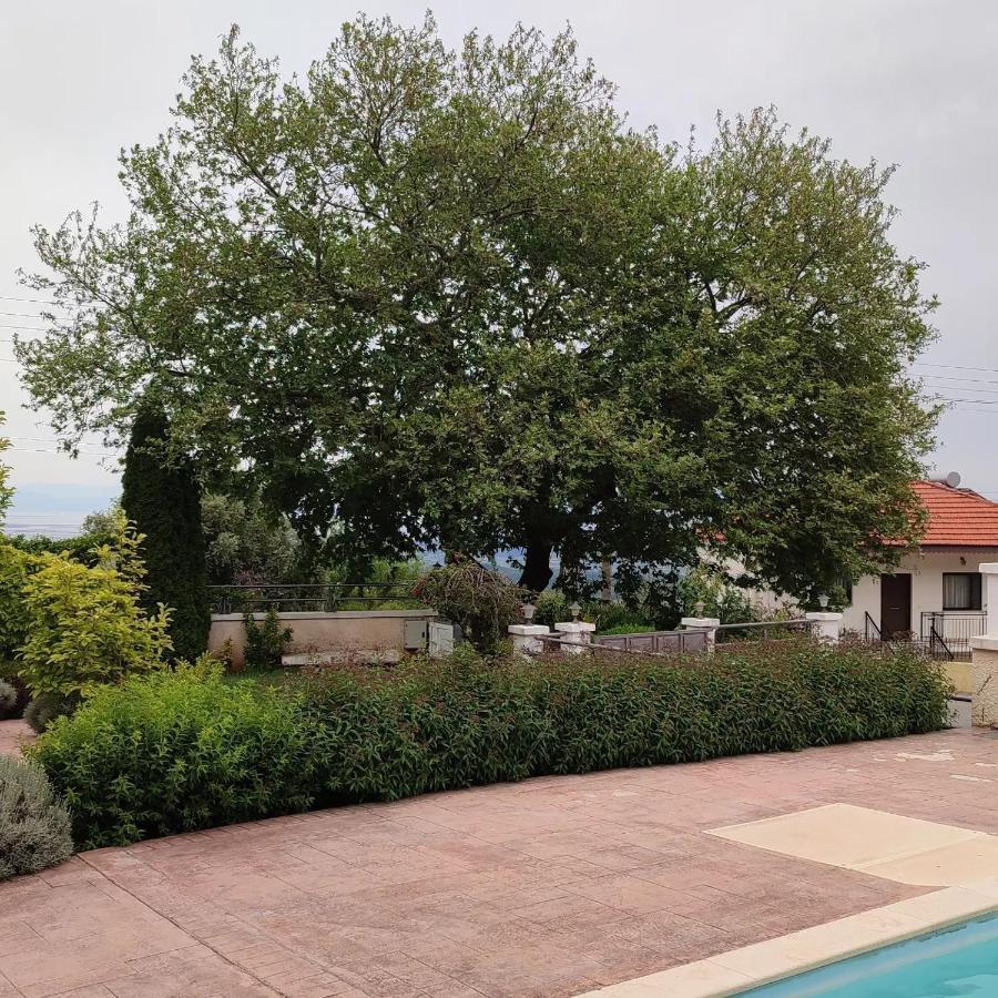 Guesthouse Michobeis Kamarína Kültér fotó