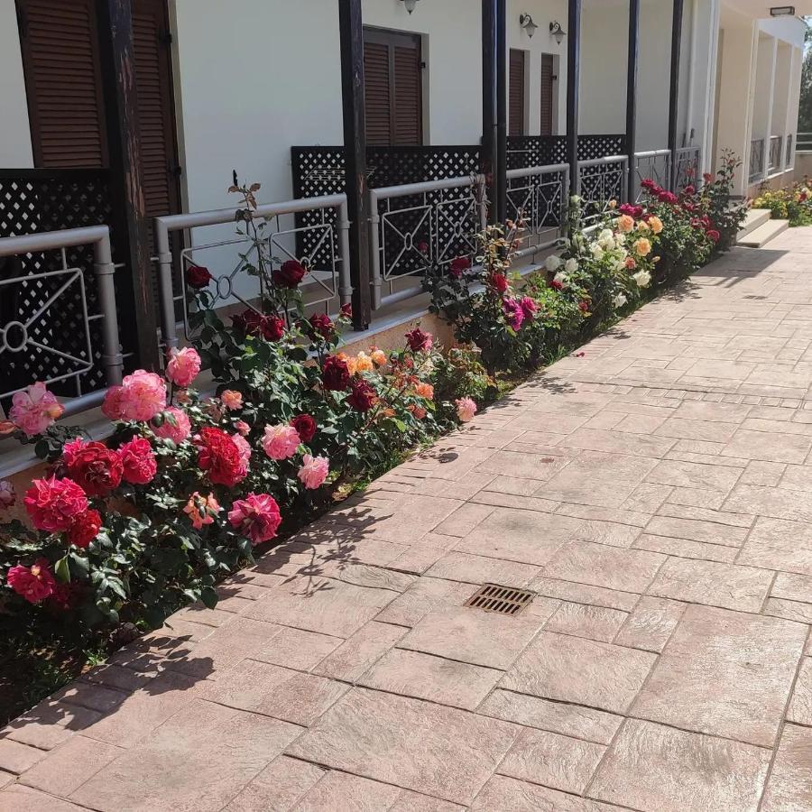 Guesthouse Michobeis Kamarína Kültér fotó